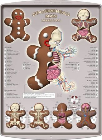 Jason_Freeny_gingerbread_dissection_chirurgie_gateau_cookie.jpg
