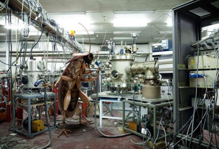 Marc_De_Cunha_Lopes_autoclave_salle_des_machines_parasite_biomed.jpg